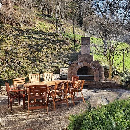 Grosses Ferienhaus Sauerburgblick Sauerthal Buitenkant foto