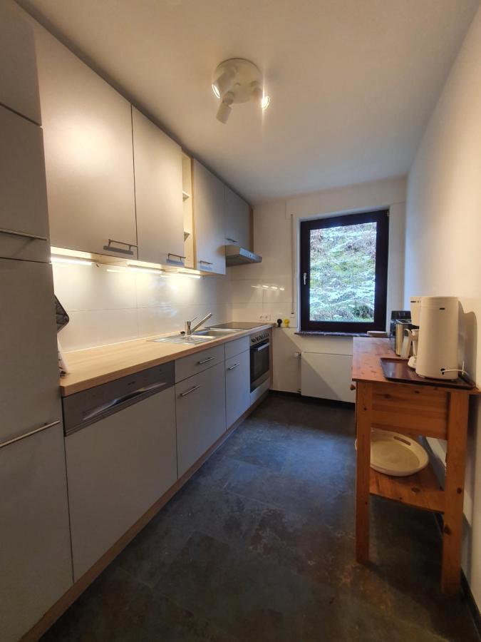 Grosses Ferienhaus Sauerburgblick Sauerthal Buitenkant foto